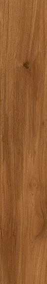 Керамогранит ATLAS CONCORDE LOG ANTHOLOGY Teak HGBG
