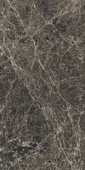 Керамогранит REX CERAMICHE LES BIJOUX DE REX Marron Imperial 6 mm Gloss 765784