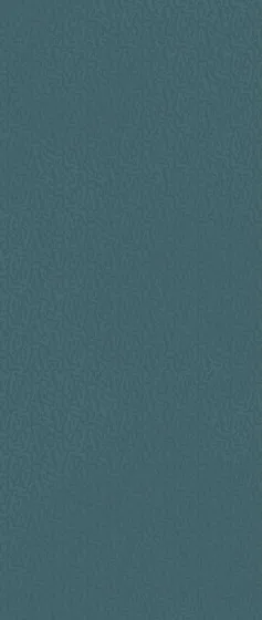 Декоративные элементы ATLAS CONCORDE BOOST COLOR Navy Frog Matt AKN8