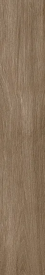 Керамогранит ATLAS CONCORDE RUSSIA FUSION OAK / ФЬЮЖН ОАК Rustic Grip / Рустик Грип 610010003140
