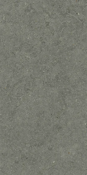 Керамогранит / 60х120 см ITALON / ИТАЛОН FORUM Stone Iron Натуральный 610010004169