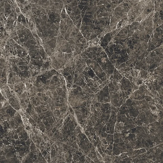 Керамогранит REX CERAMICHE LES BIJOUX DE REX Marron Imperial Gloss 766376