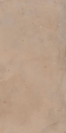 Декоративные элементы /Керамогранит/ ATLAS CONCORDE RUSSIA RINASCENTE / РИНАШЕНТЕ Terracotta 610080000233
