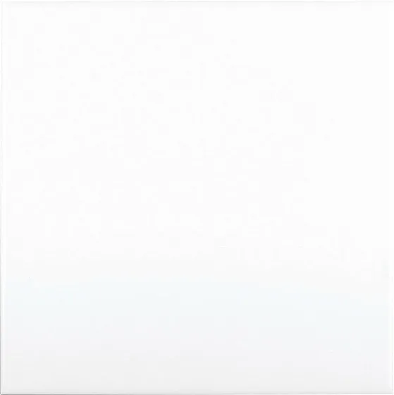 Керамическая плитка для стен ADEX NERI Liso PB Blanco Z ADNE1025