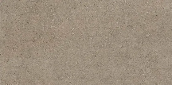 SEASTONE
