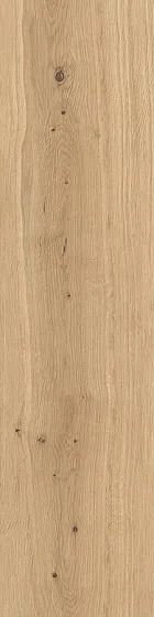 Керамогранит LASTRA 20MM для уличного применения ATLAS CONCORDE LOG Forest Icon Oak 20 mm AX4A