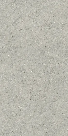 Керамогранит / 60х120 см ITALON / ИТАЛОН FORUM Stone Silver Натуральный 610010004168