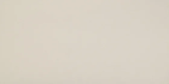 Керамическая плитка для стен ATLAS CONCORDE 3D WALL DESIGN 3D Ultra Blade White Matte 120. Фото 1 из 2