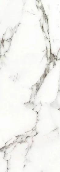 Выбранный образец: Керамическая плитка для стен PORCELANOSA CALACATA Silver