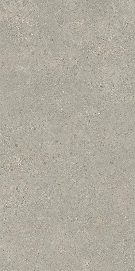 Керамогранит / 60х120 см ITALON / ИТАЛОН STATUS Carbon / Карбон 610010006211