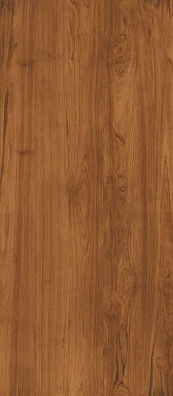 Керамогранит / 120х278 см ATLAS CONCORDE LOG ANTHOLOGY Teak 6 mm HGA2