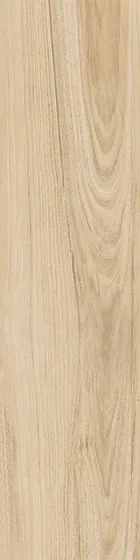 Керамогранит ITALON / ИТАЛОН MAISON Brandy. Фото 1 из 2