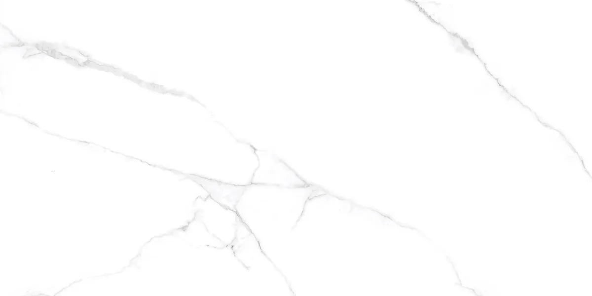 Выбранный образец: Atlantic White Керамогранит s Белый 60x120 Полированный 60x120