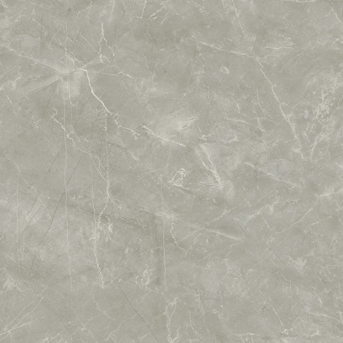 Wolf Grey Керамогранит 80х80 Сатинированный 80x80 х9999289550