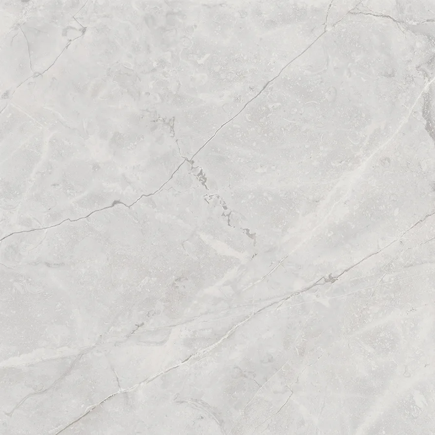 Коннект Грис Керамогранит серый SG619922R 60х60 полированный 59,50x59,50 х9999299114