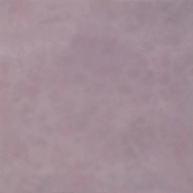 Напольная плитка (керамогранит) Milo Soft blush 20x20 - Heralgi CAT-5acb230177fd36f0