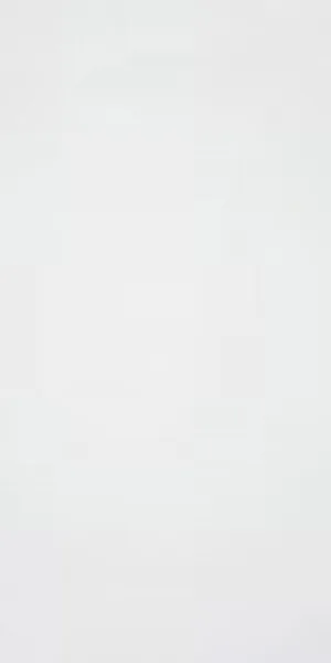 Настенная плитка Blanco Brillo 25x50 - Stn Ceramica CAT-173f18208cd1e4a0