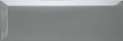 Настенная плитка (кабанчик) Biselado Plata Brillo 10x30 - Dar Ceramics CAT-7c2be6a7856d6647