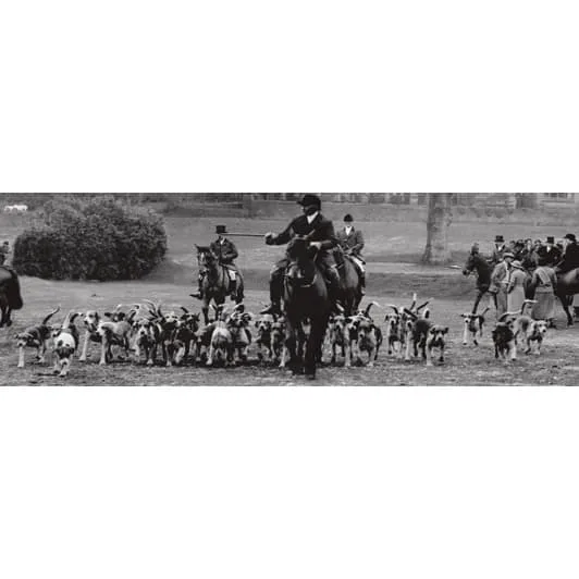 Декор Cenefa Hunt 15x45 - El Barco CAT-8980808c4475689c