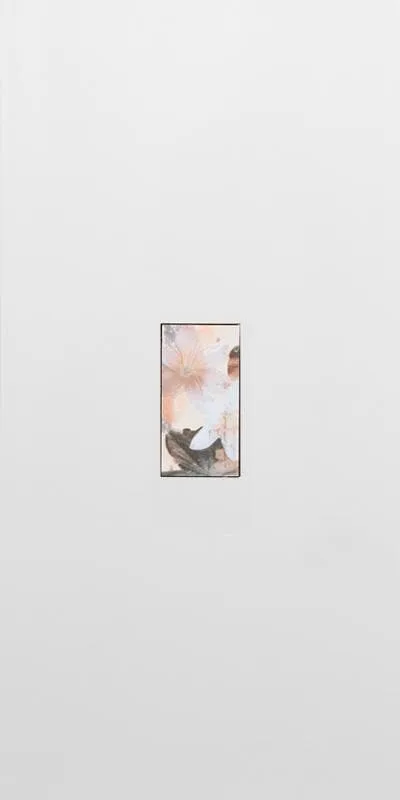 Декор Decor Lorena Indore 25x50 - LARA CAT-504ae7a0ec3e2681