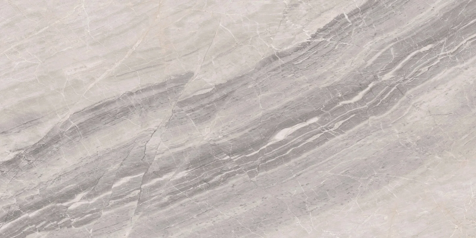 Assinis Grey POL 120x60 D5884BM D5884BM