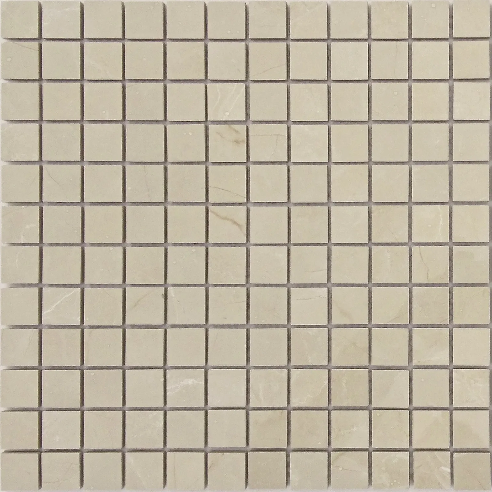Nuvola Beige POL мозаика 23x23 CAT-4d93691d6326ee04