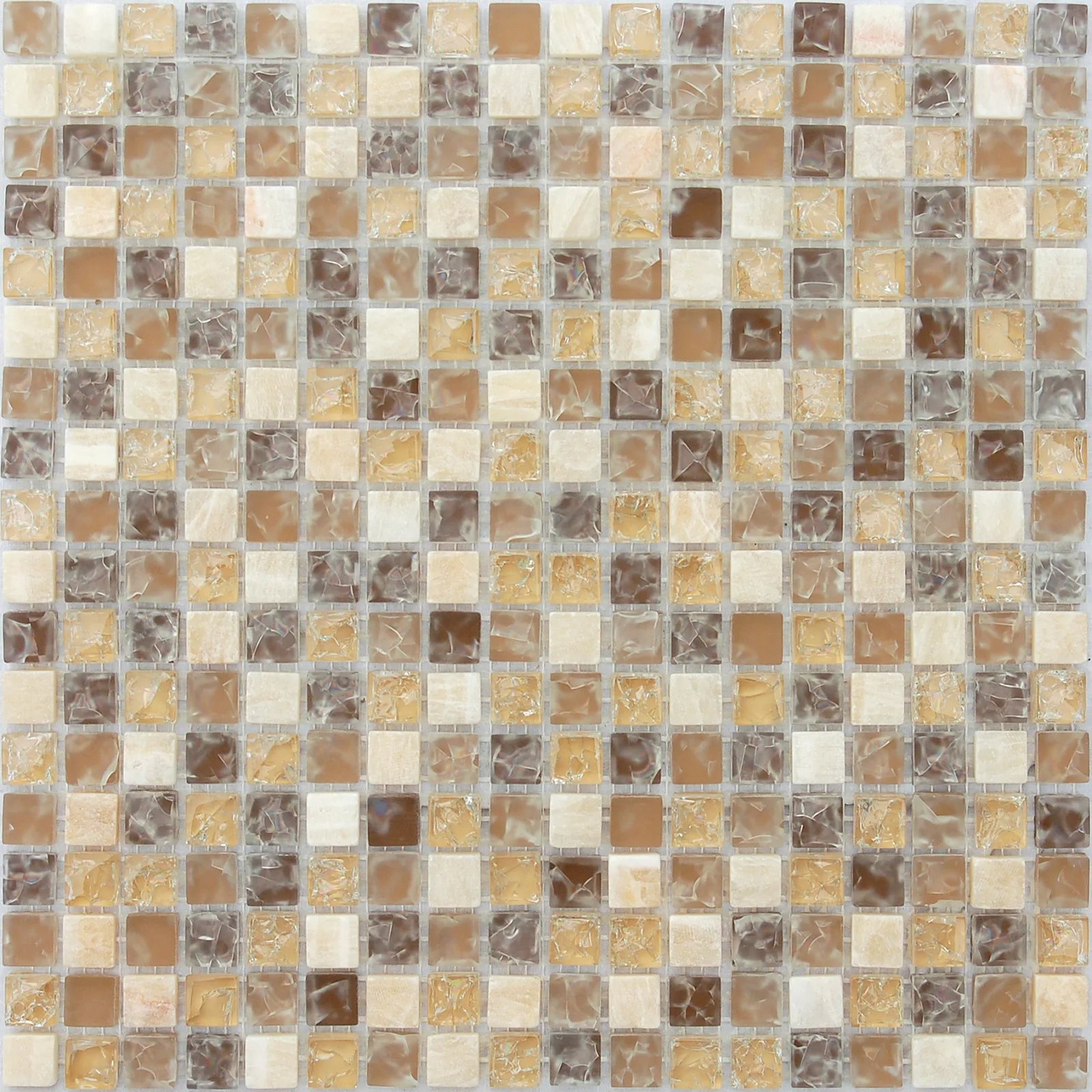 Amazonas 15x15x8 (PET) CAT-4754e70b0b959ee2