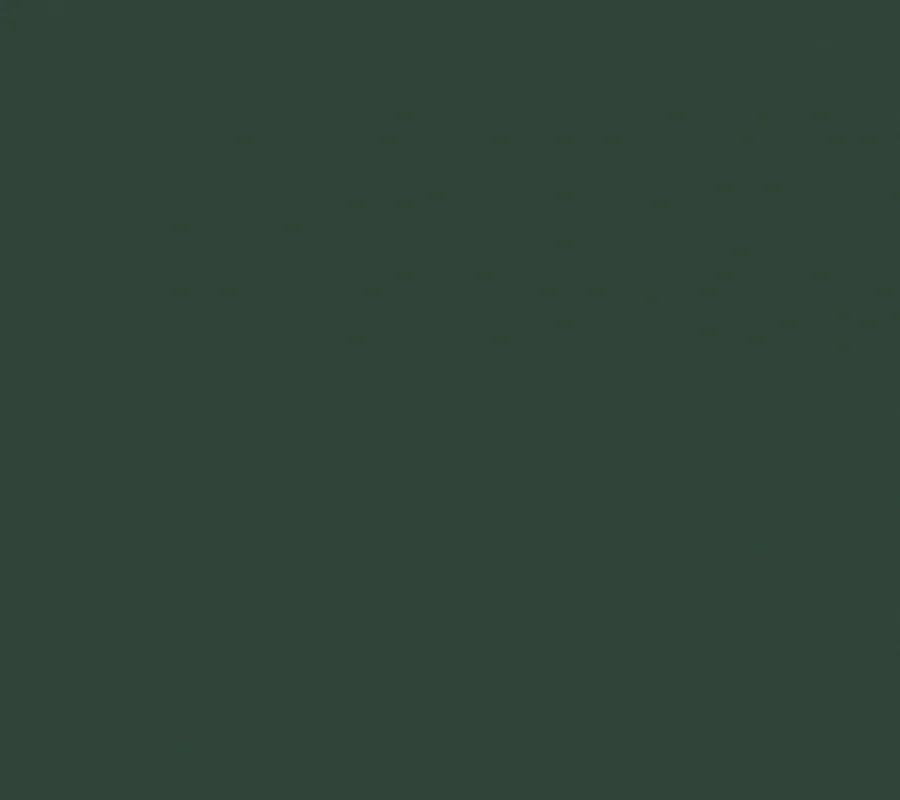 Обои Окинава OK7 005/1 OK7 005/1