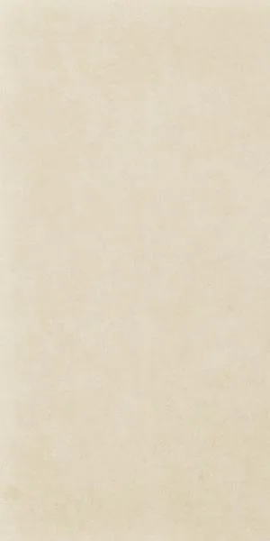 Intero Beige Mat. Керамогранит 29,8х59,8 655171