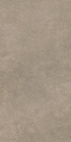 Magnetik Brown Rekt. Polpoler Керамогранит 29,8х59,8 655213