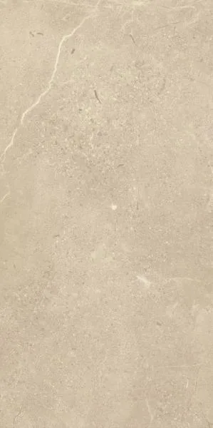 Sunnydust Beige Rekt. Mat. Керамогранит 59,8х119,8 655335