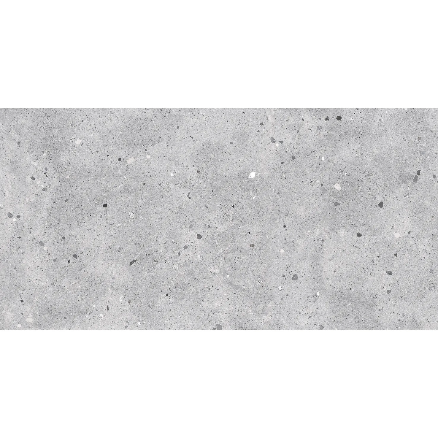 FENIX FOSSIL 60x120 SUGAR CAT-1b10a5aafa71188e
