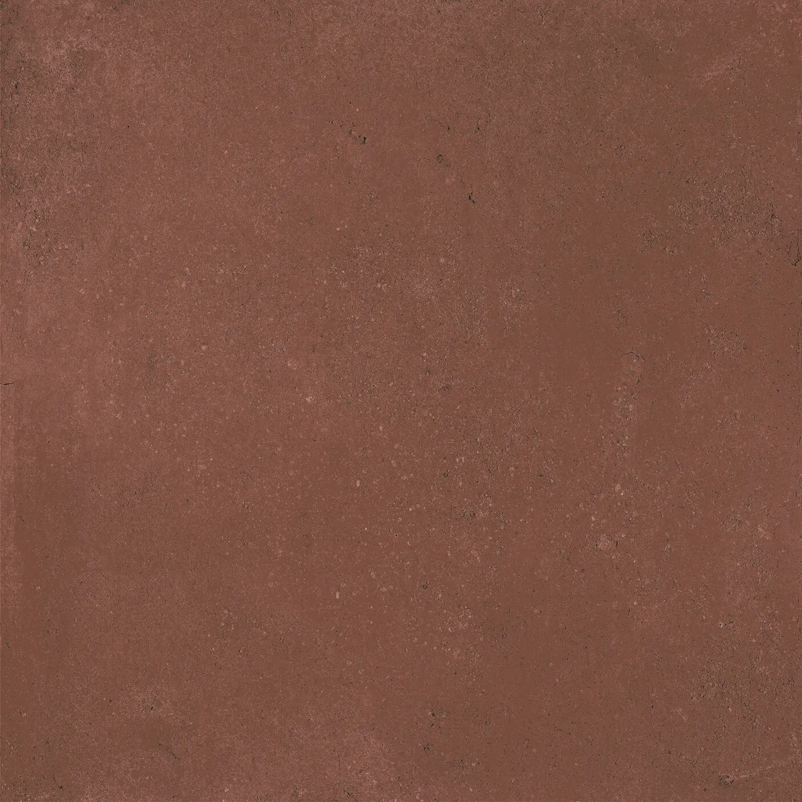 BERRY 20x20 CAT-0c7a71f90680a696