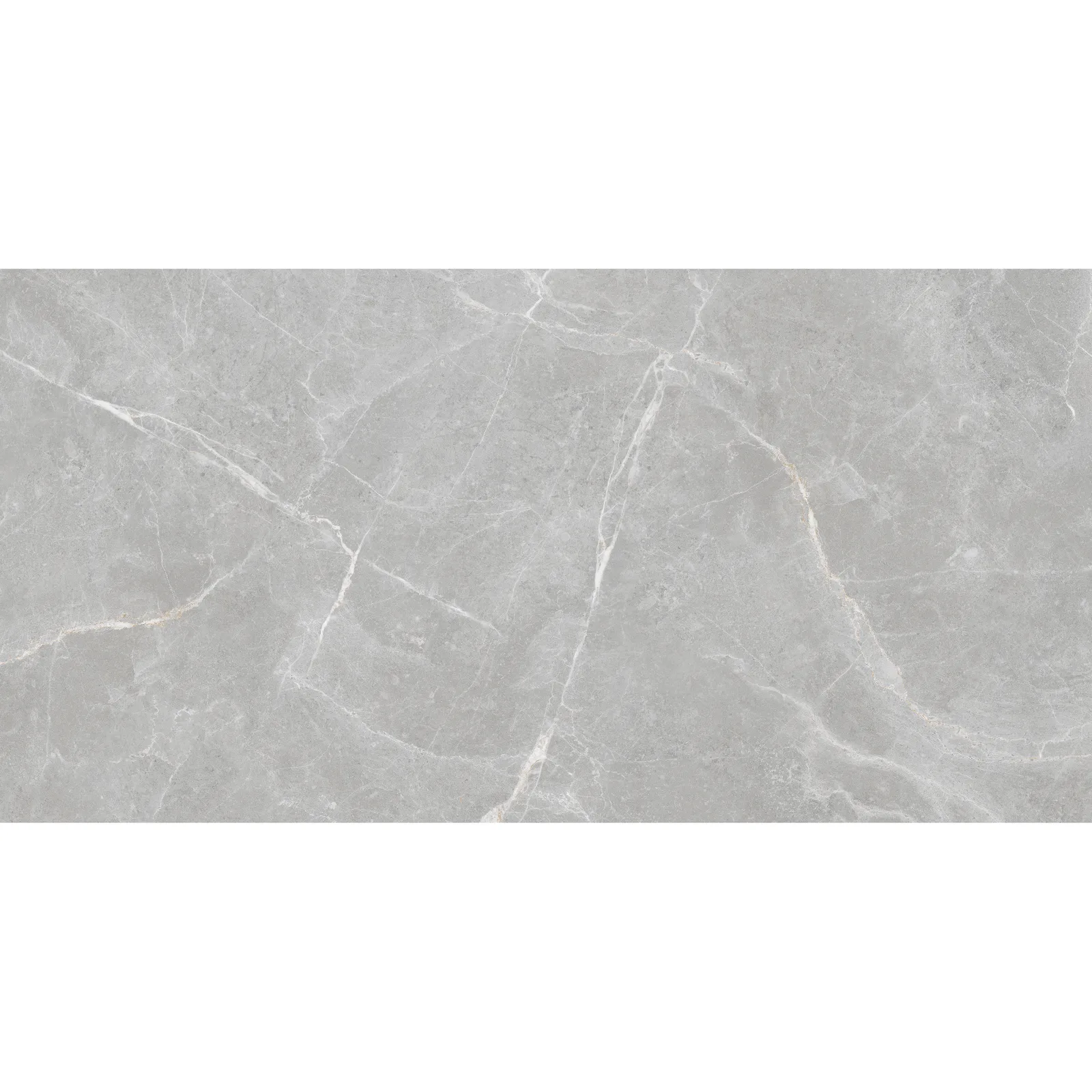 Выбранный образец: PATRICIA GREY 60x120 MATT