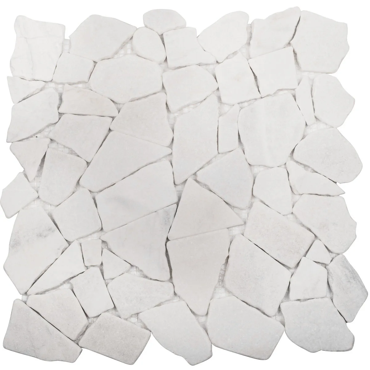 SPLIT WHITE MATT CAT-cbdf061b1985ee40