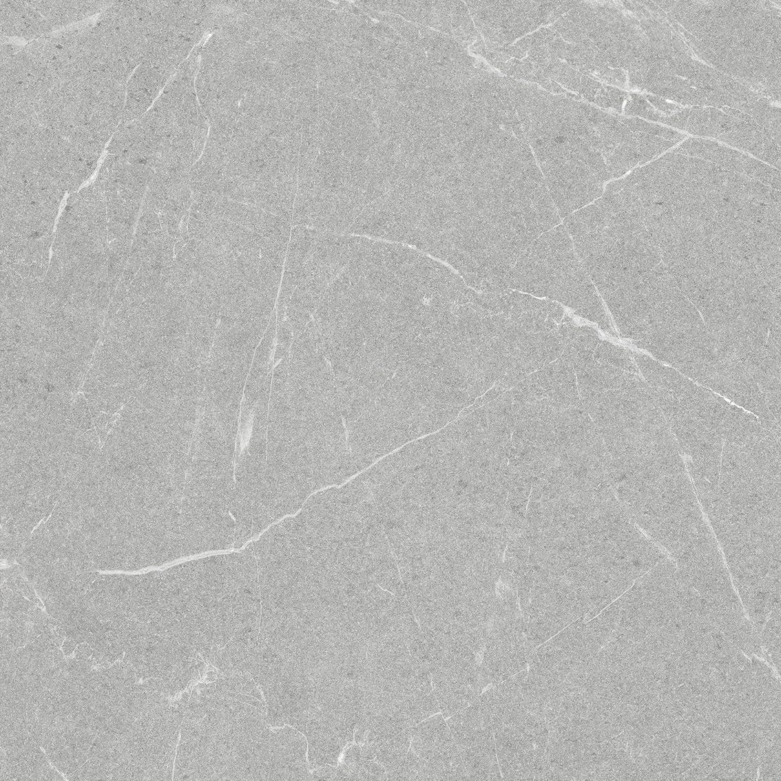 DAKOTA GRIS 60х60 MATT. Фото 1 из 1