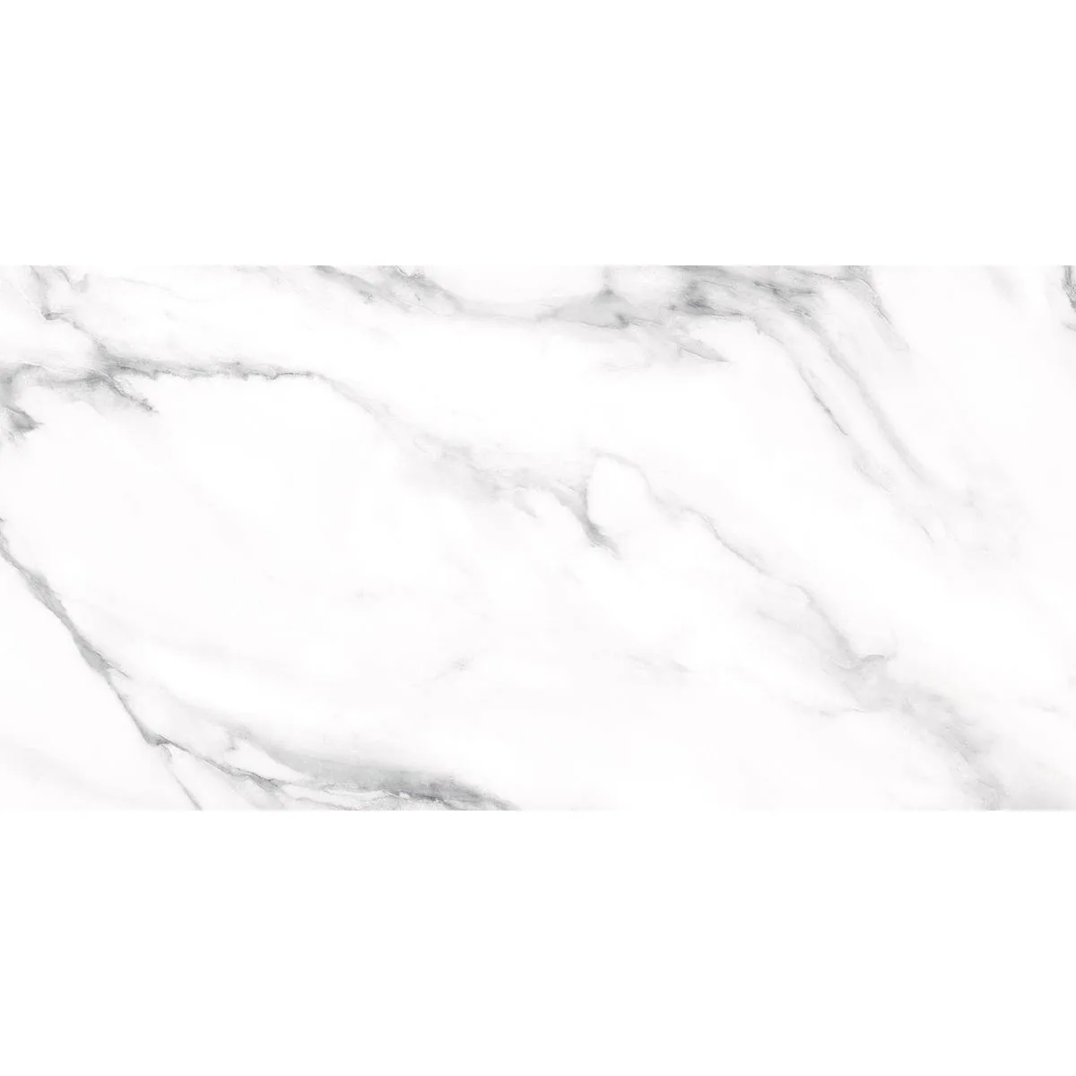 Выбранный образец: MAJESTIC WHITE 60x120 POLISHED