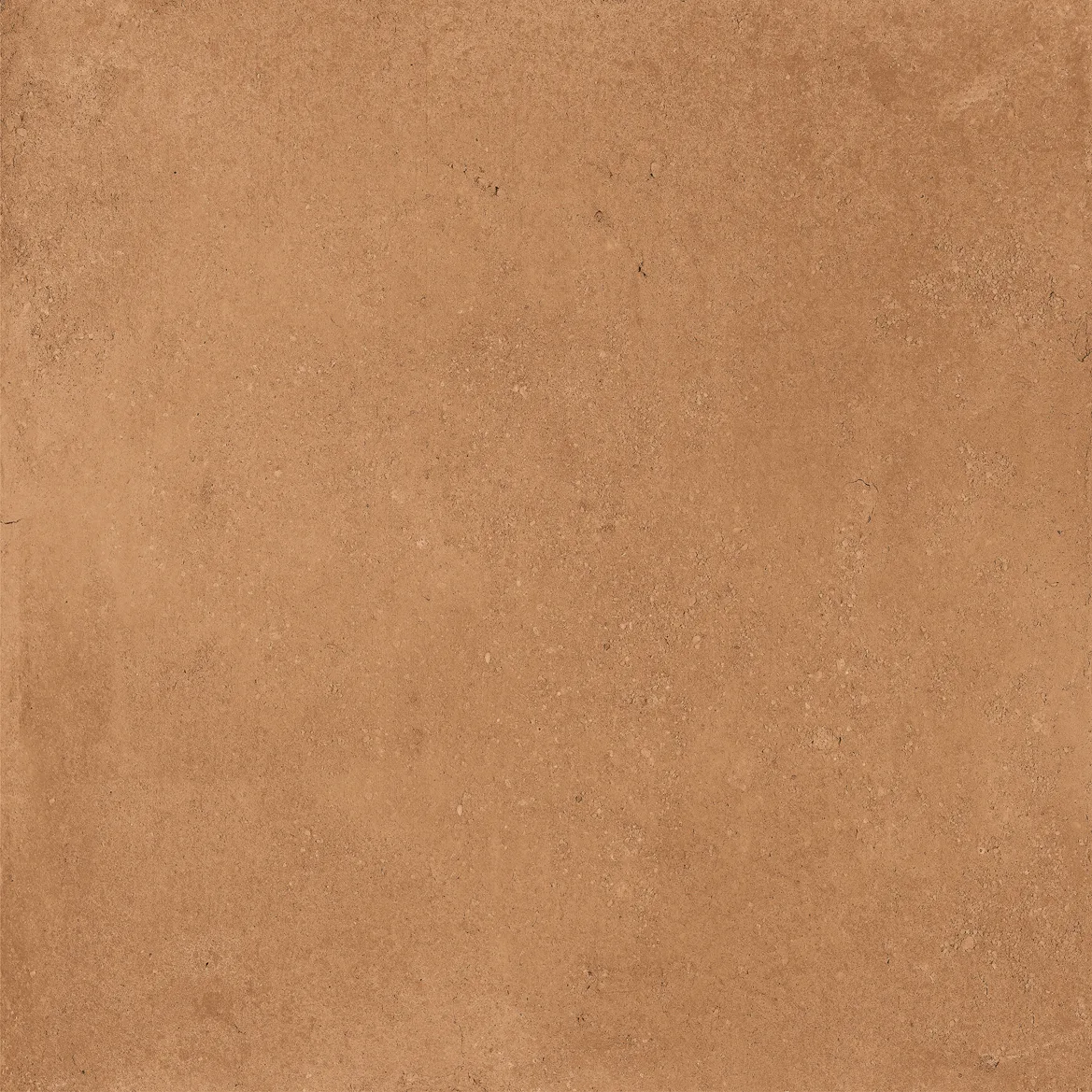 MUSTARD 20x20 CAT-2a045f25cccffc8e