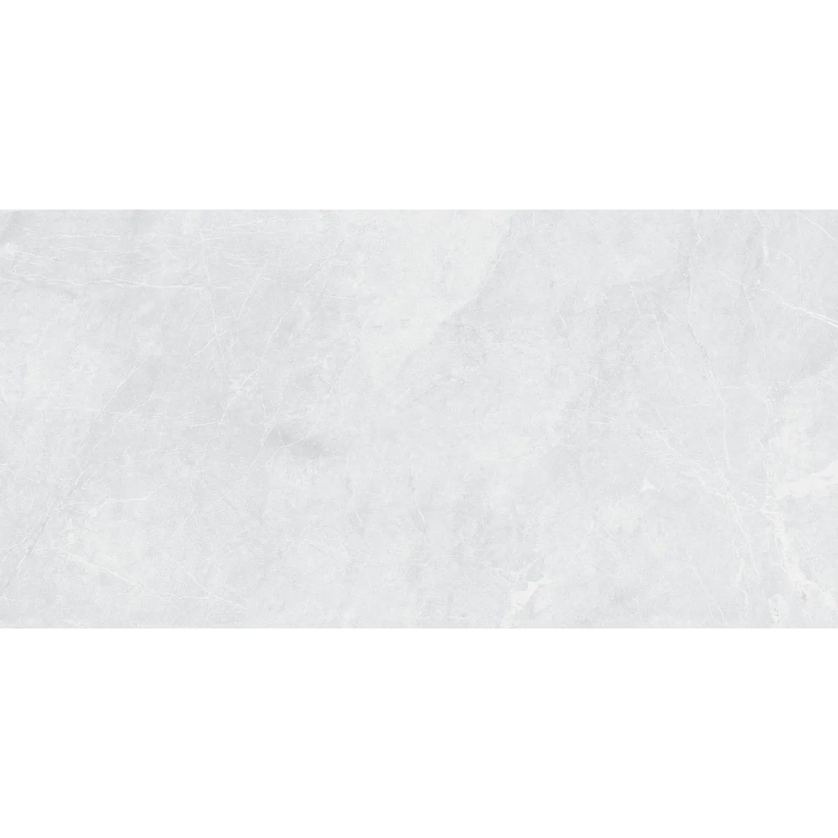 BARCELONA LIGHT GREY 60x120 5мм MATT. Фото 1 из 7