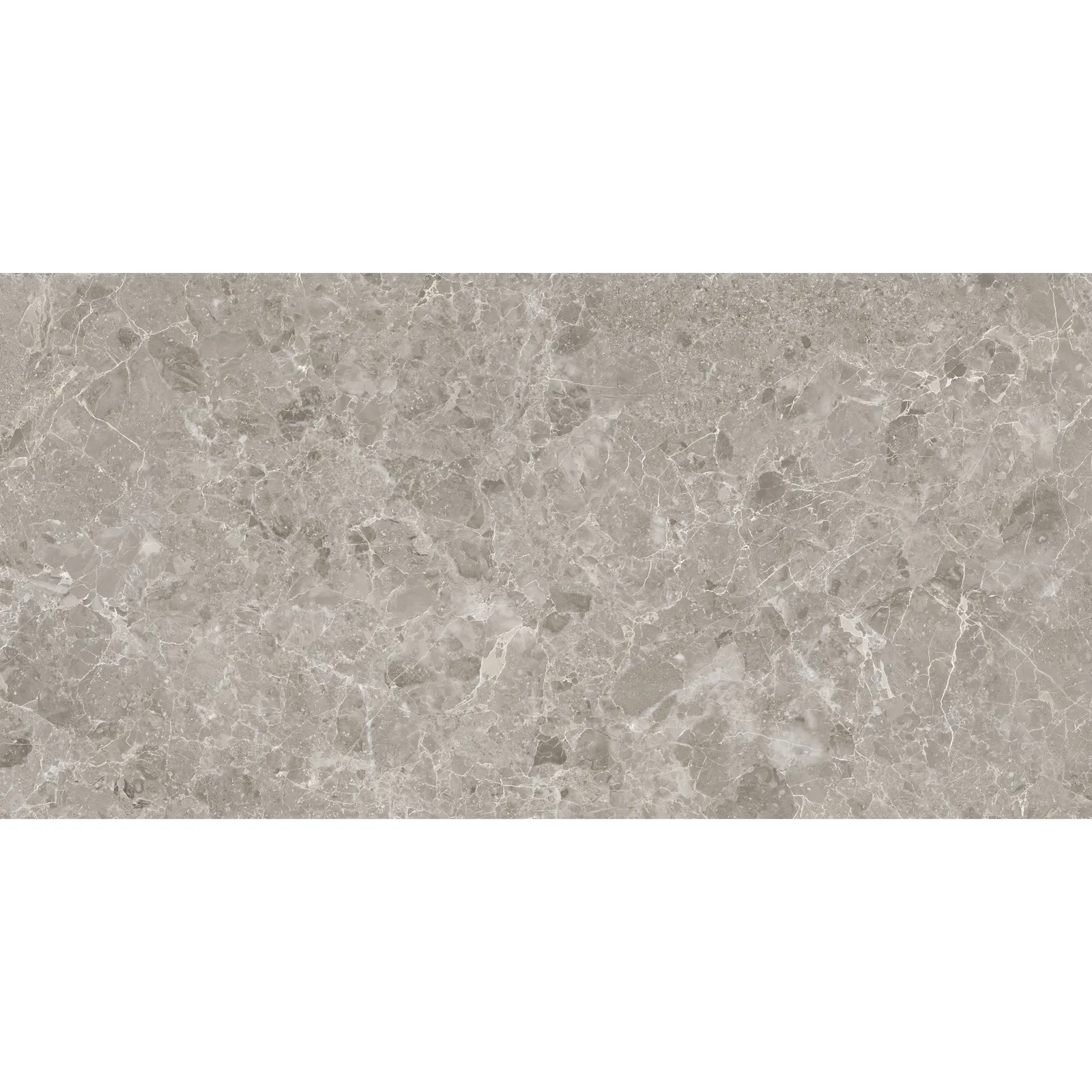 ROMA GRIS 60x120 CARVING SATIN. Фото 1 из 6