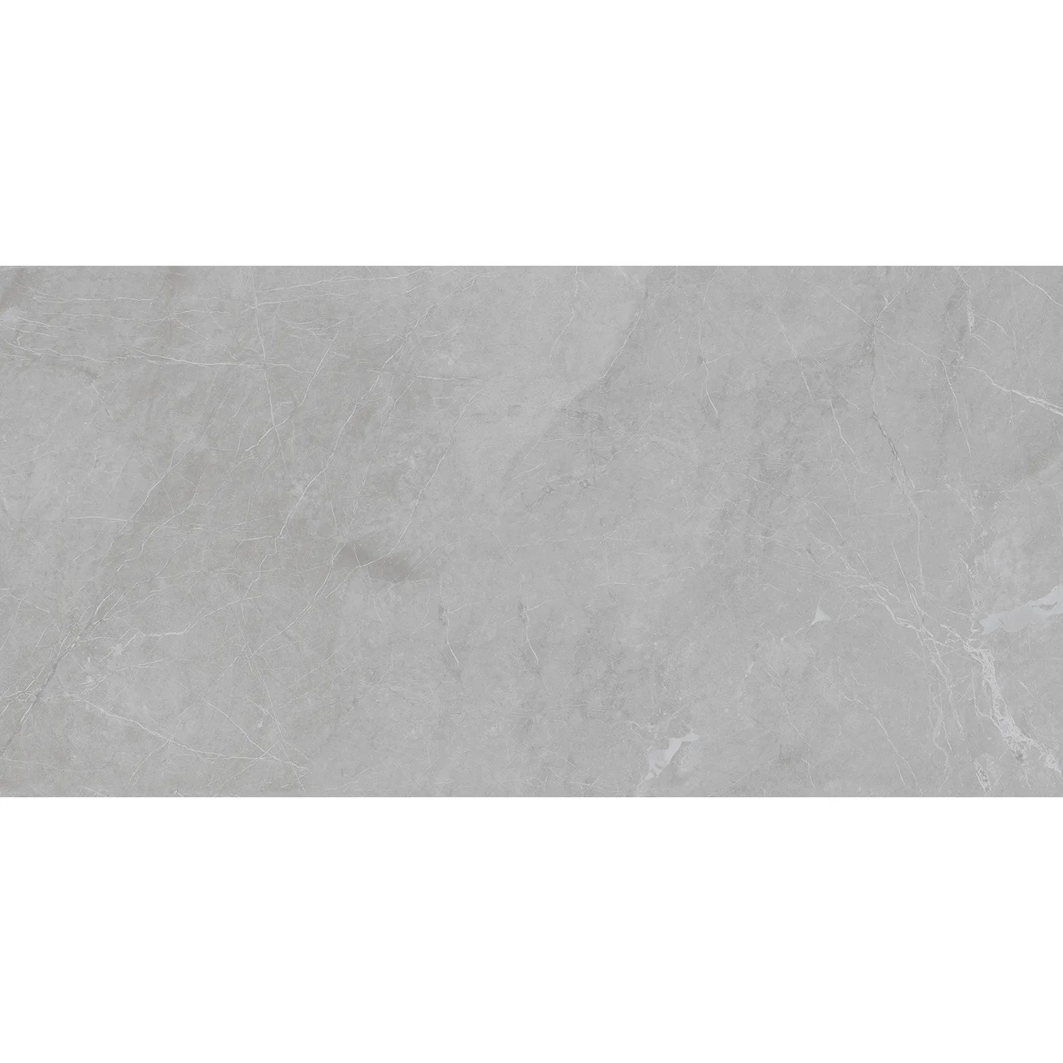 Выбранный образец: BARCELONA LIGHT GREY 60x120 5мм MATT