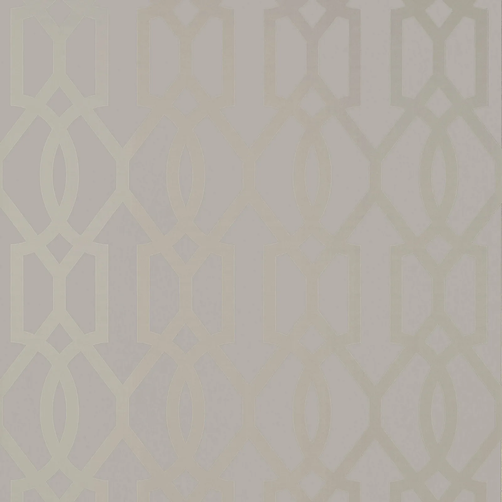 DOWNING GATE - Metallic Silver on Grey. Фото 1 из 1