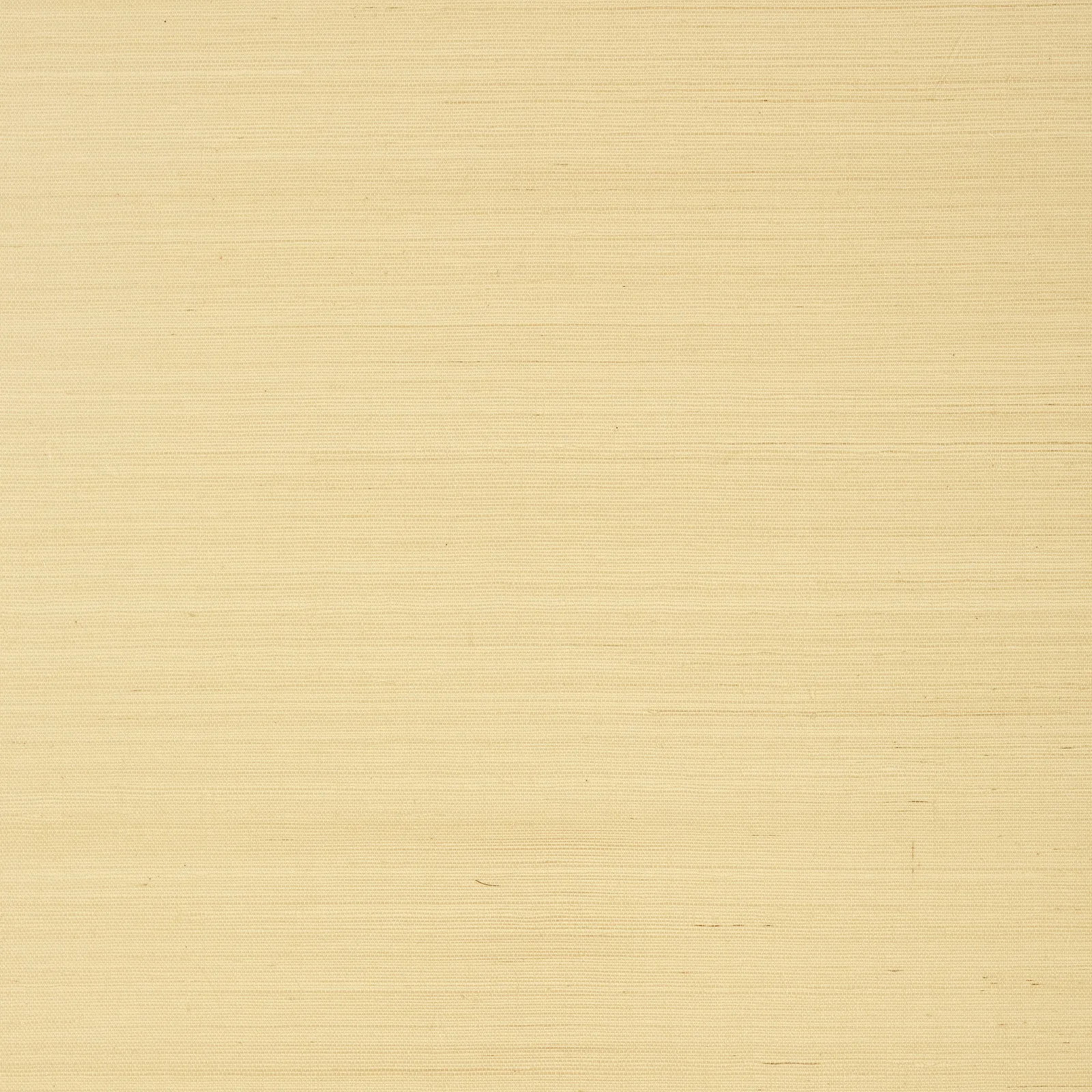 SHANG EXTRA FINE SISAL - Vanilla. Фото 1 из 1
