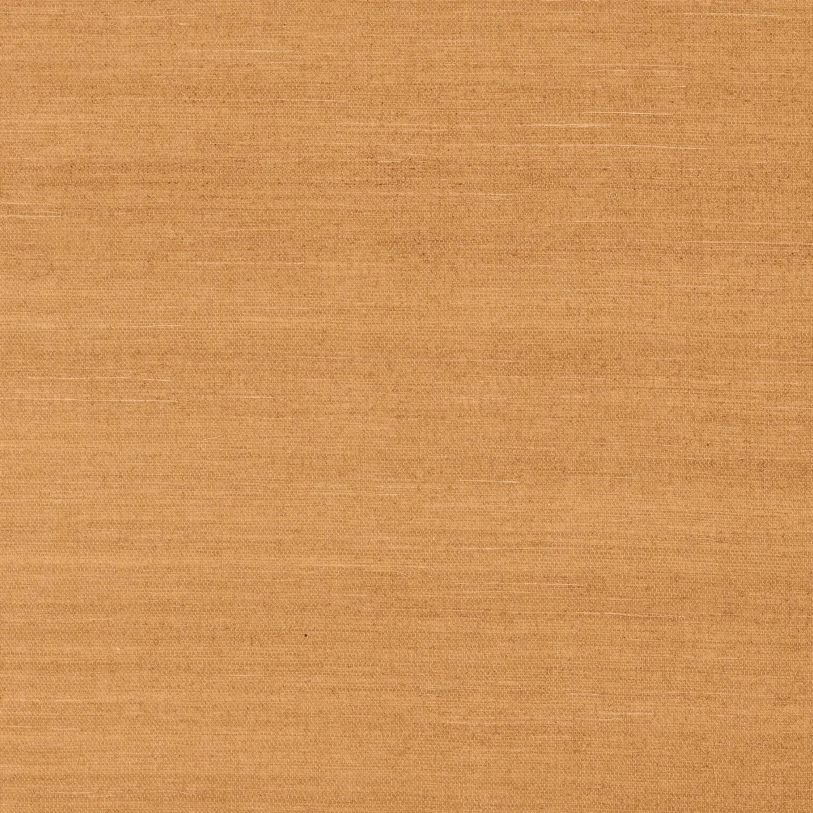 SHANG EXTRA FINE SISAL - Pumpkin. Фото 1 из 1