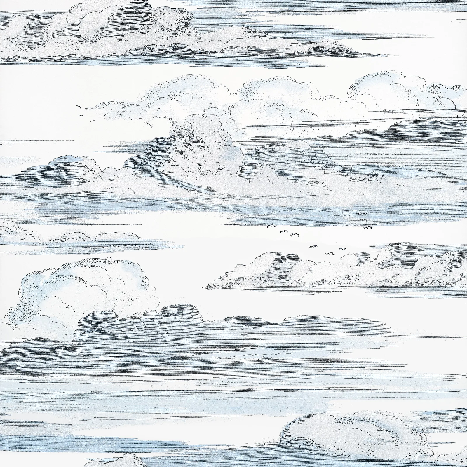 CIELO - Blue. Фото 1 из 1