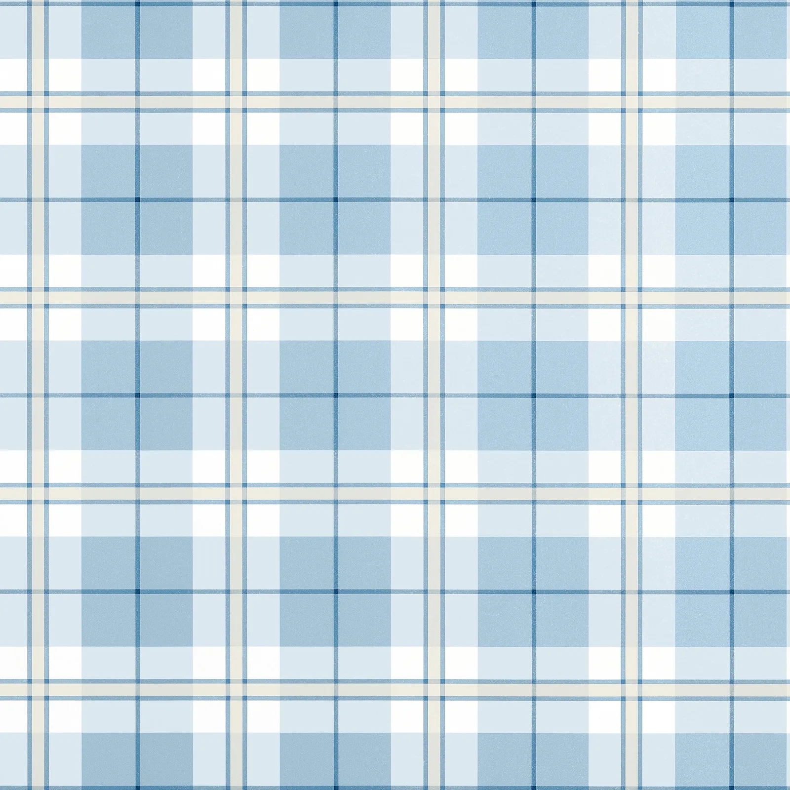 DOUGLAS PLAID - Light Blue. Фото 1 из 1