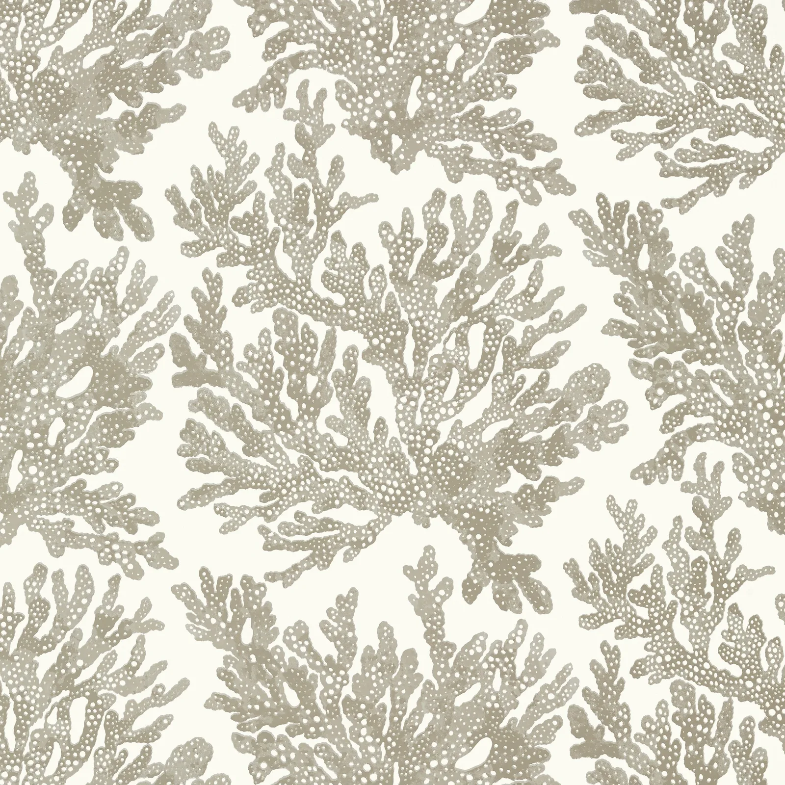 MARINE CORAL - Beige. Фото 1 из 1