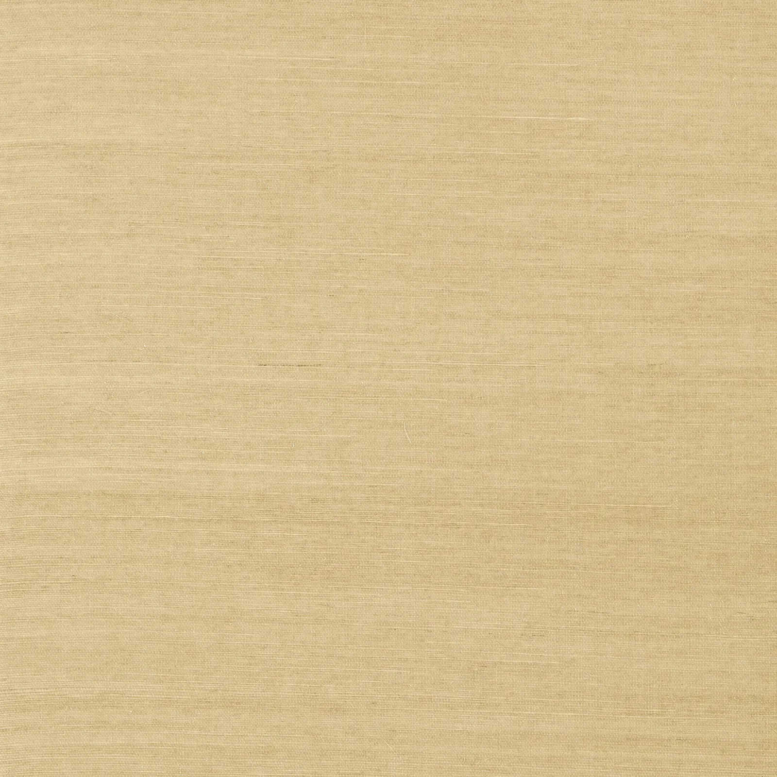 SHANG EXTRA FINE SISAL - Taupe. Фото 1 из 1