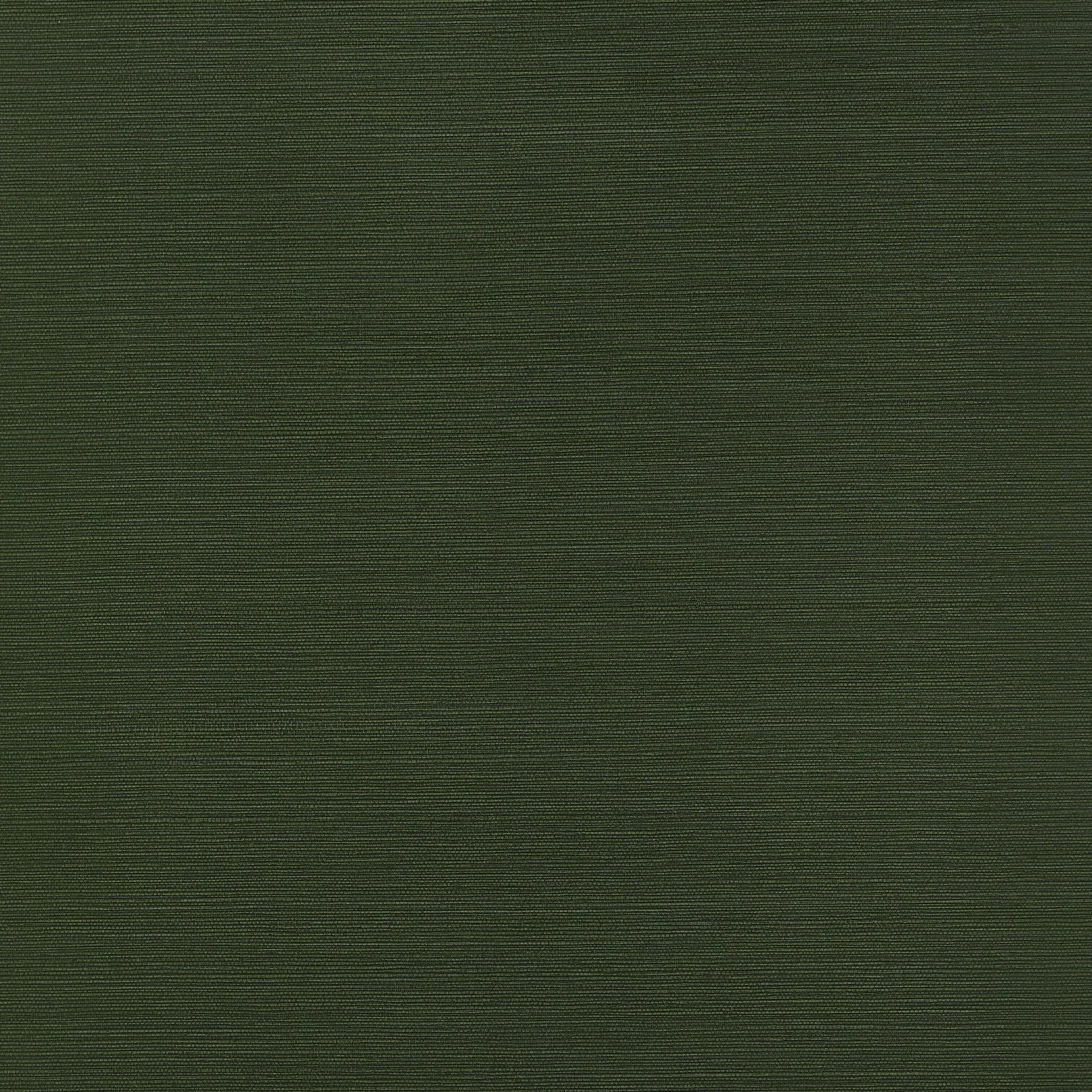 TALUK SISAL - Olive. Фото 1 из 1
