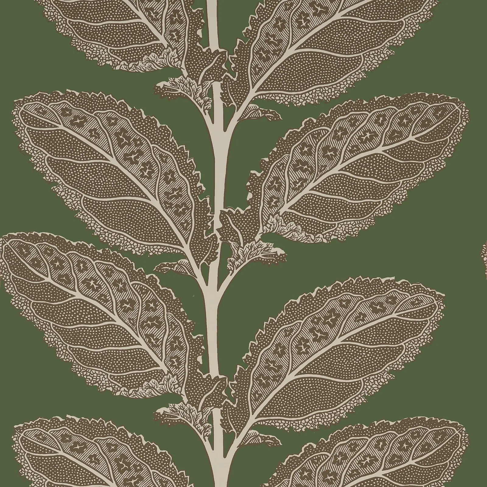LACINATO - Wild Sage. Фото 1 из 1